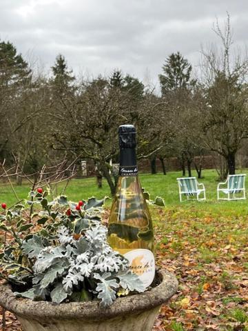 "Aux Chants Des Oiseaux" Domaine De La Renardiere Les Grandes-Loges Εξωτερικό φωτογραφία